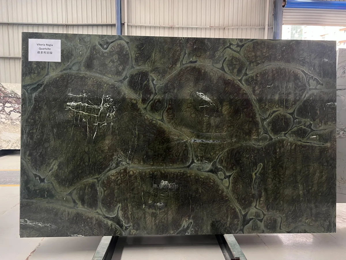 Vitoria Regia Quartzite Big Slab