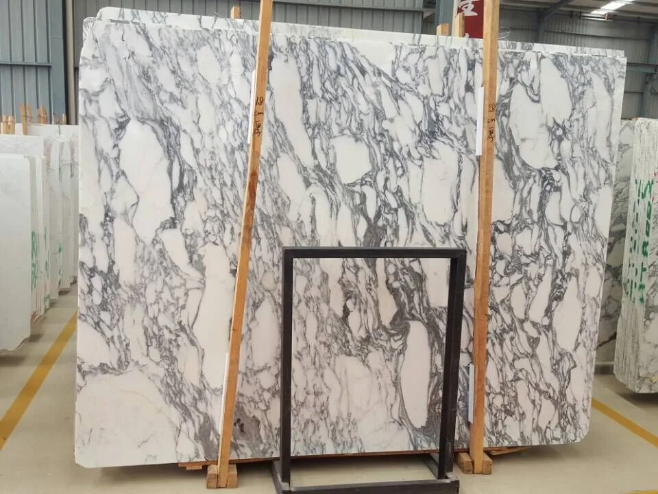 Arabescato Marble Big Slab